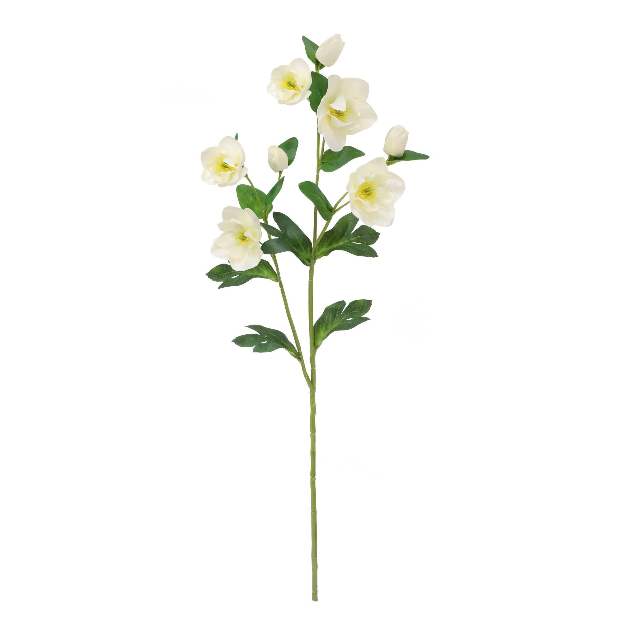 30" Cream Helleborus Stem by Ashland®